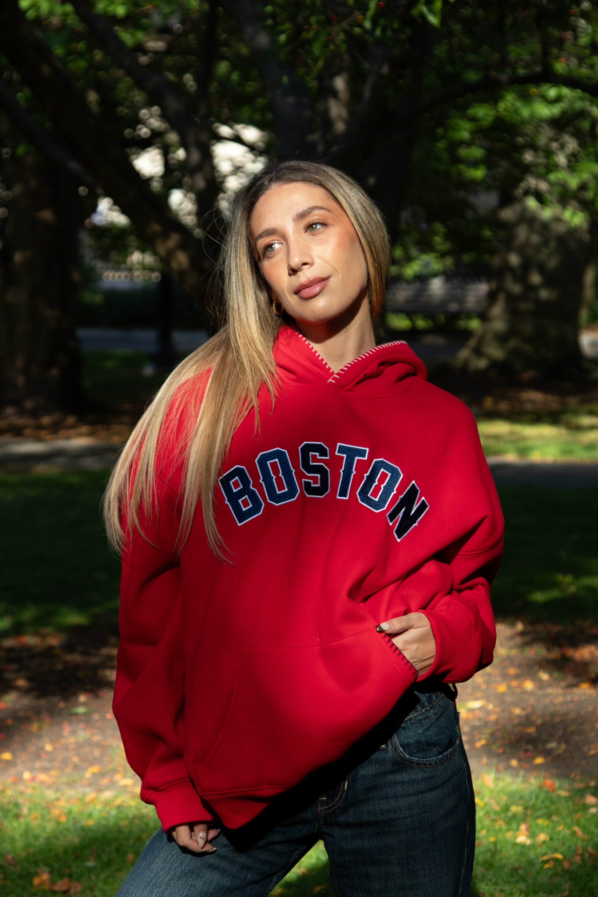 BANNER HOODIE IN 